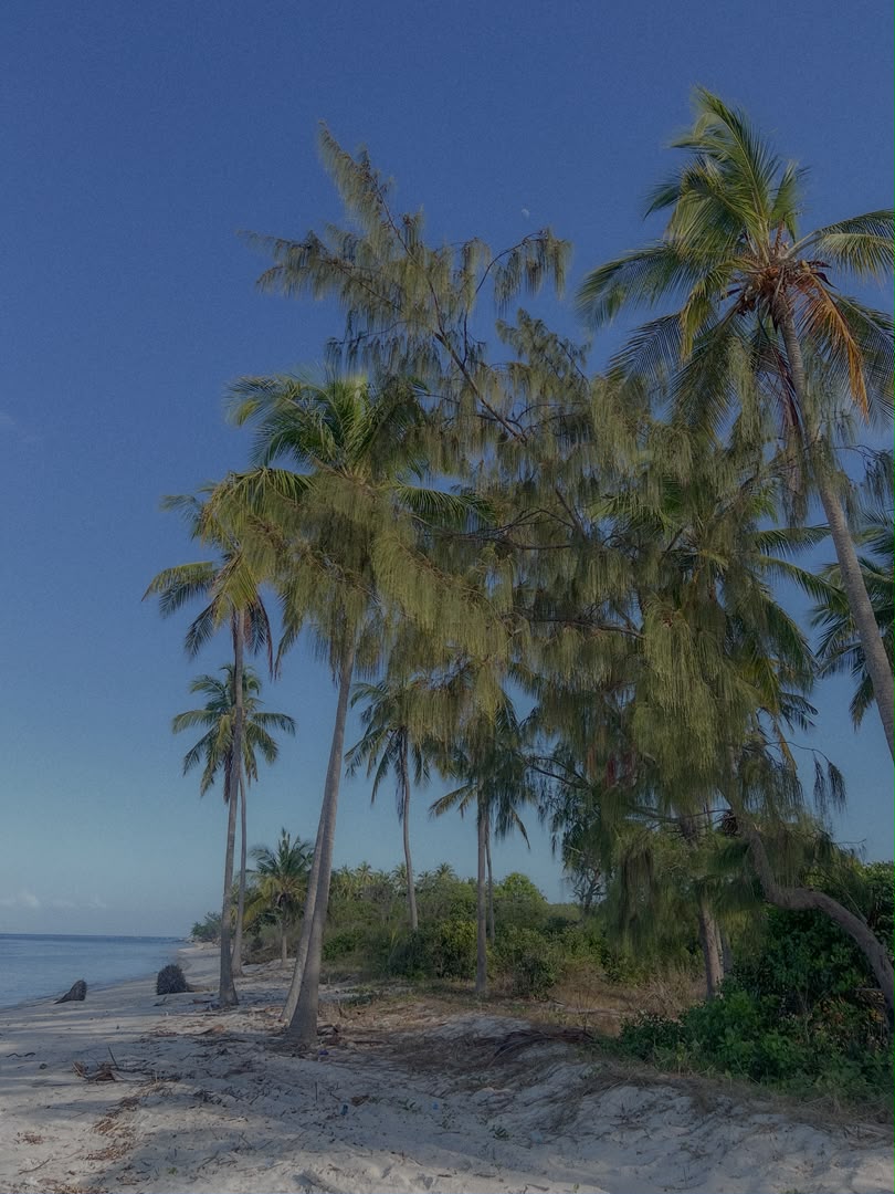 Mafia Island