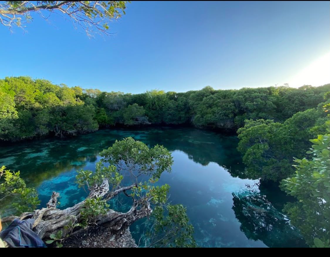 Blue Lagoon Tour